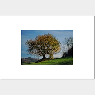 Autumn tree Posters and Art